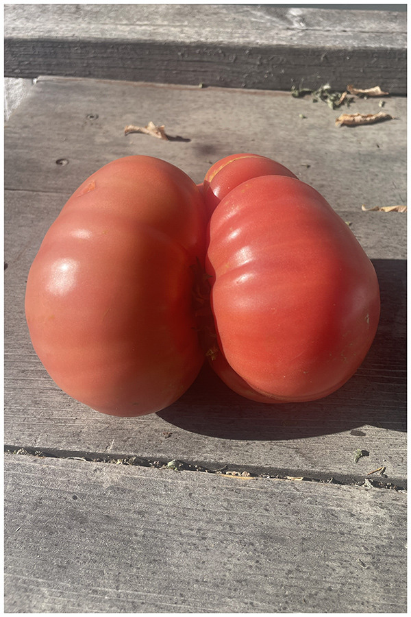 This image has an empty alt attribute; its file name is img_9697.jpg